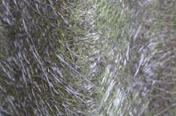 Low Hutton fibreglass roof work